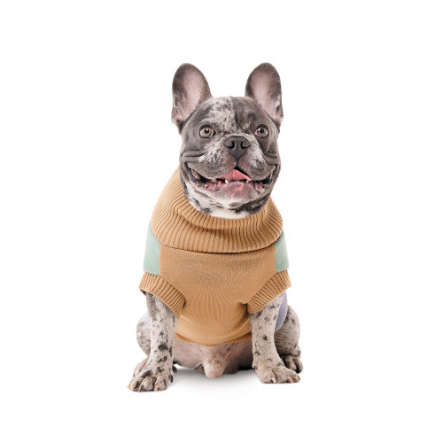 Светр в язаний Rich для собак такса S2 Киев - изображение 3