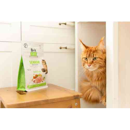 Корм сухой Brit Care Cat Grain Free Senior Weight Control для пожилых кошек с избыточным весом с курицей 400 г Киев