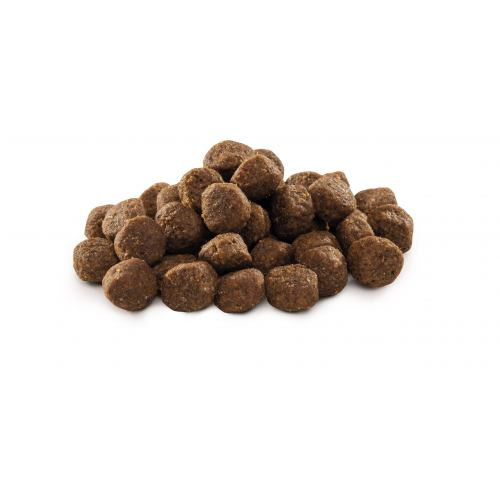 Корм сухой Brit Premium Dog Junior S для молодых собак мелких пород от 1 до 12 месяцев весом 1-10 кг с курицей 8 кг. Киев - изображение 2