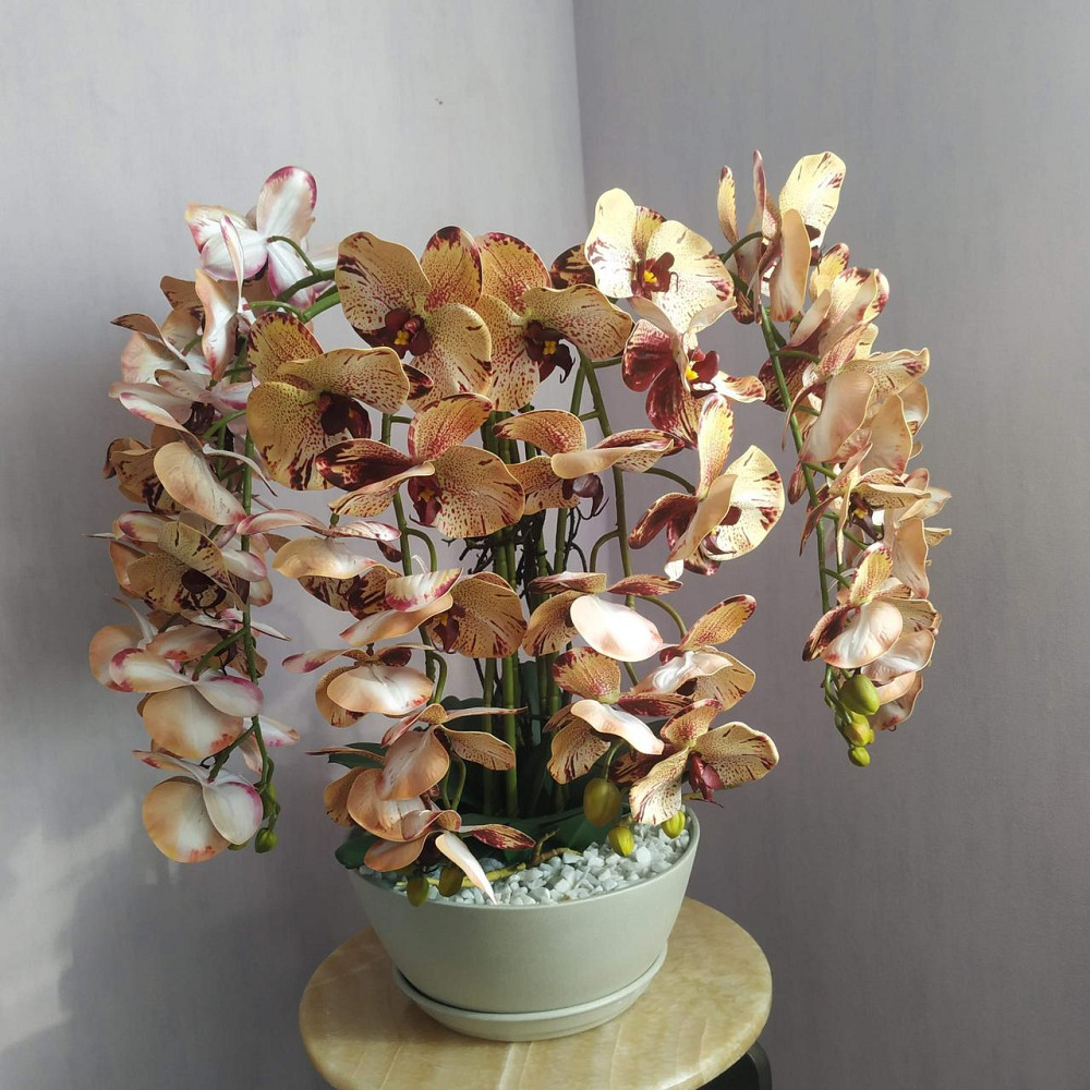 Штучна латексна орхідея VIP у бежевому керамічному кашпо на п'ять гілок кремово-бордова Дніпро - фото 1