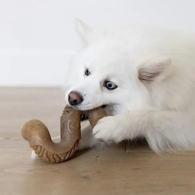 Жувальна іграшка для собак Бенебон Benebone Tripe Bone Beef зі смаком яловичого рубця для собак до 13 кг (розмір S) Вінниця - фото 3