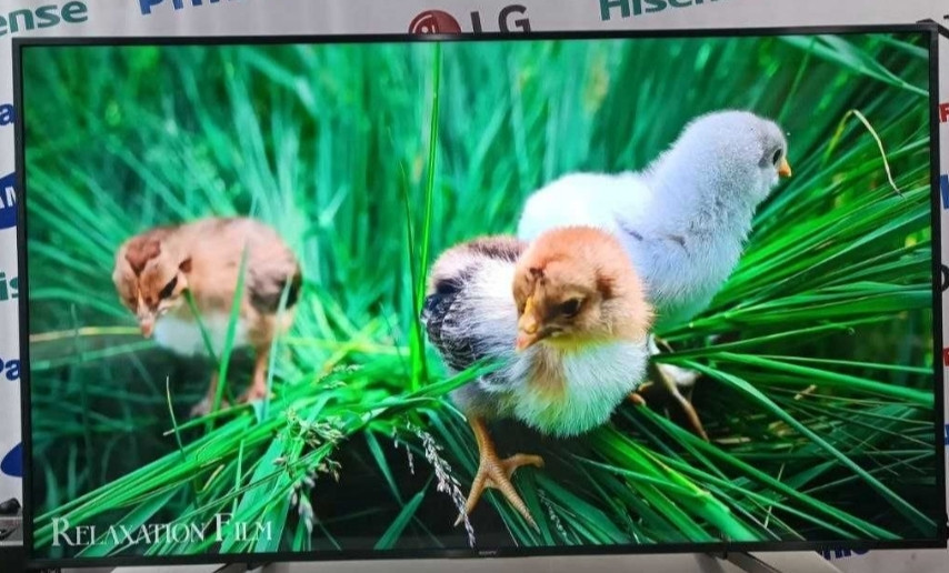 Телевизор Безрамный: 65