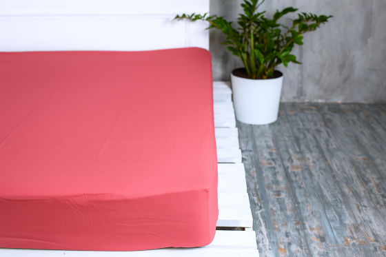 Ecotton Простирадло на резинці Ecotton 200х200 см однотонне яскравий кораловий Коломия