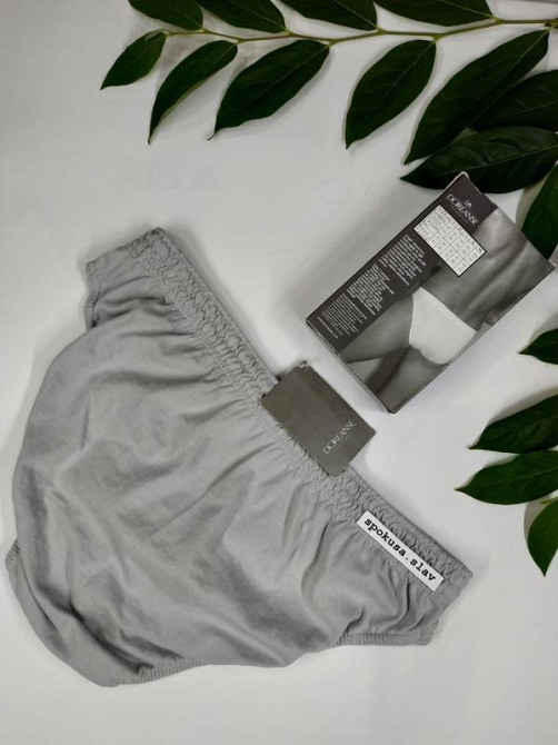 Труси-сліп сірі бавовняні  чоловічі doreanse 1005 Славута - фото 5