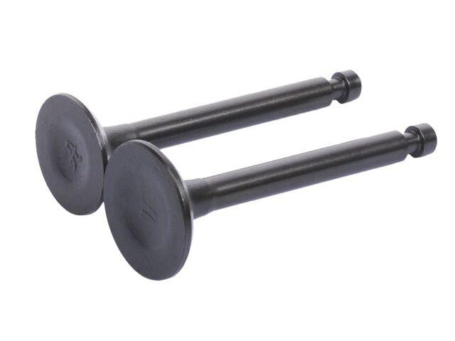 Клапаны  на генератор 1.8KW/2.0KW, к-т: 2 шт., Мукачево - изображение 1