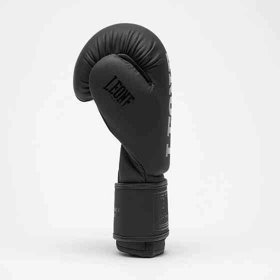 Боксерські рукавиці Leone GN058 TONE X Black 10 унцій Кам'янське