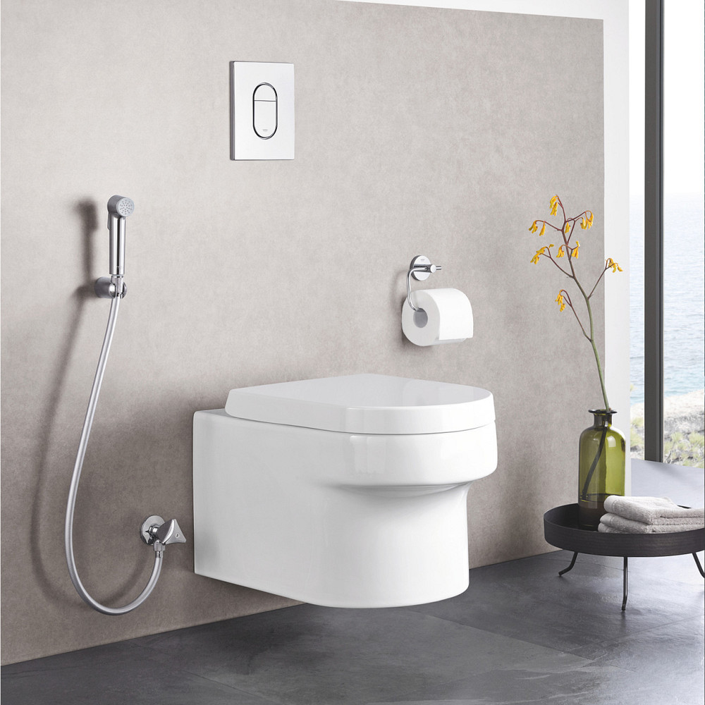 Лійка для гігієнічного душу Grohe Tempesta-F Trigger Spray 30 27512001 Київ - фото 7