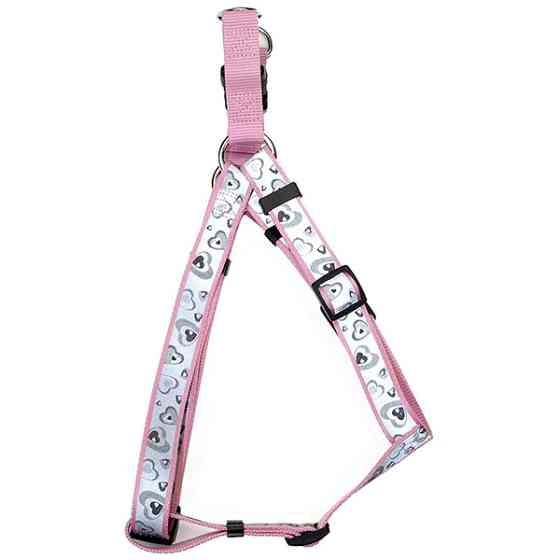 Coastal Lazer Brite КОСТАЛ ЛАЗЕР БРАЙТ світловідбивна шлея для собак, 2.5х66-97см Київ