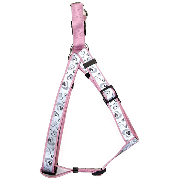 Coastal Lazer Brite КОСТАЛ ЛАЗЕР БРАЙТ світловідбивна шлея для собак, 2.5х66-97см Київ - фото 1