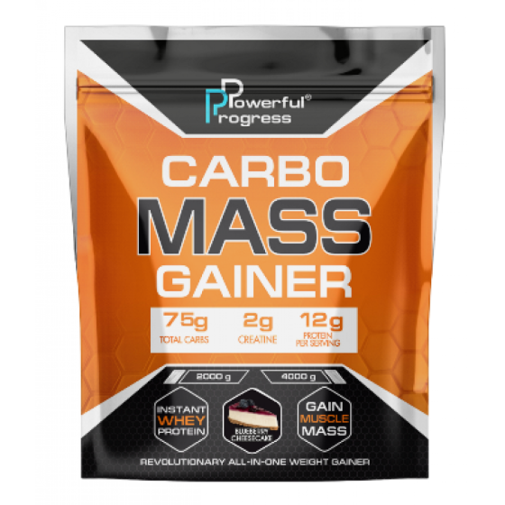 Carbo Mass Gainer - 2000g Blueberry Cheesecake Киев