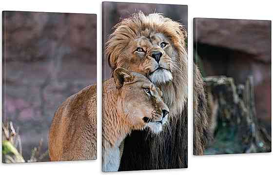 Модульна картина у вітальню/ спальню Сім`я Левів   Art-566_3 Київ