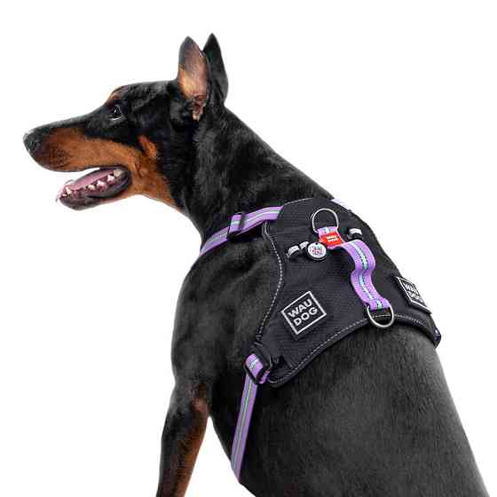 Шлея для собак безпечна WAUDOG Nylon з QR паспортом, металічна пряжка-фастекс, M, Ш 20 мм, А 45-70 см, В 60-80 см фіолетовий Київ