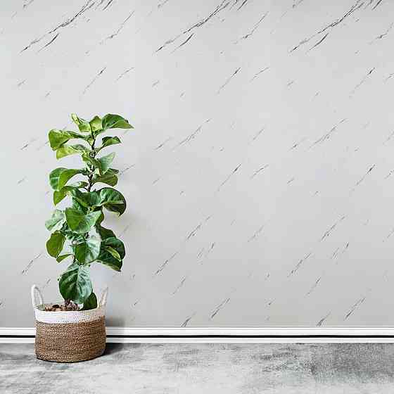 Плінтус РР самоклеючий 2300х70х4мм Білий з чорною смужкою (D) SW-00001830 Дніпро