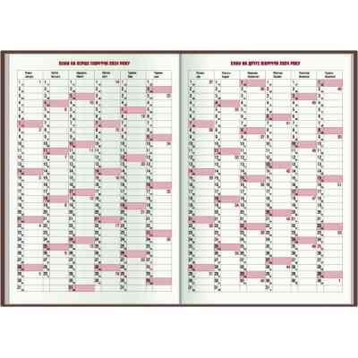 Тижневик Economix датований 2024, А5 (E21836) Вінниця