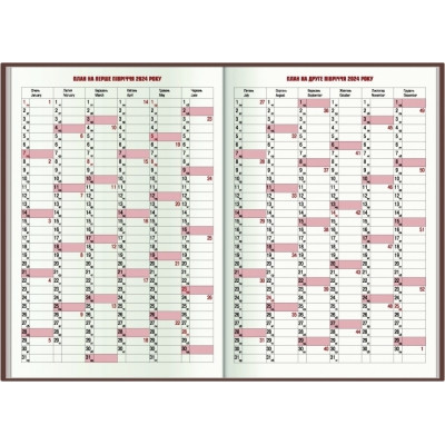 Тижневик Economix датований 2024, А5 (E21836) Вінниця - фото 3