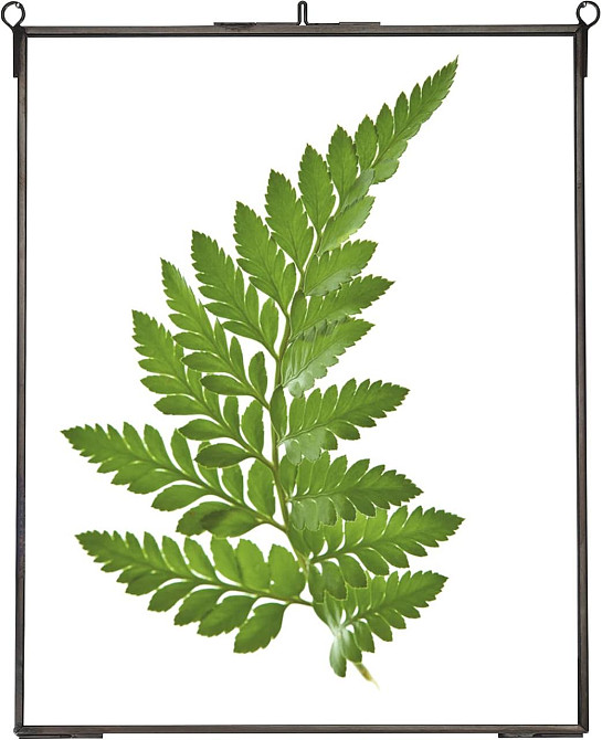 Рамка для засушених квітів подвійне скло латунна з ланцюжком прямокутна 25,4×20,3 см Київ - фото 4