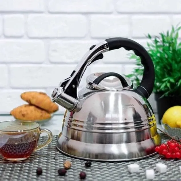 Чайник Со Свистком 3л Из Высококачественной Нержавеющей Стали для всех видов плит, эргономичная ручка Одесса - изображение 2