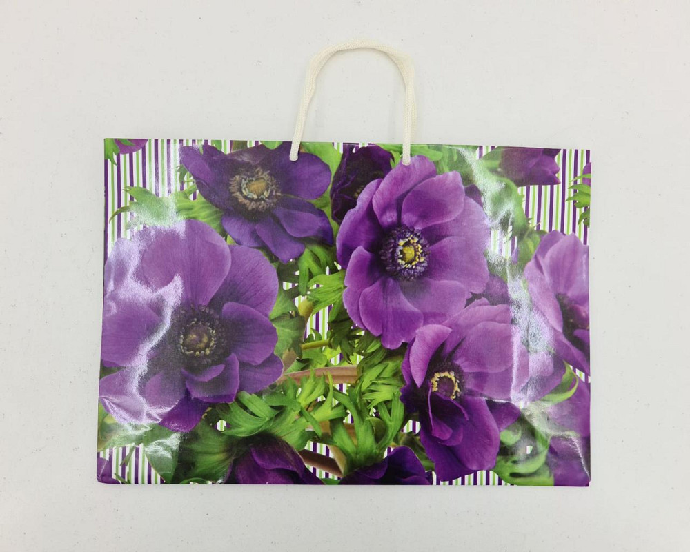 Паперовий великий горизонтальний пакет 36/22/10 (артBG-110) (12 шт.) Харків - фото 4