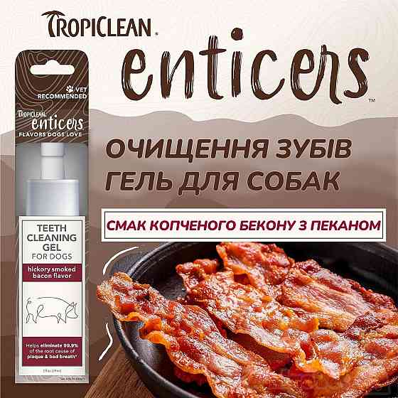 Гель для чищення зубів для собак TropiClean зі смаком копченого бекону з пеканом, 59 мл Київ
