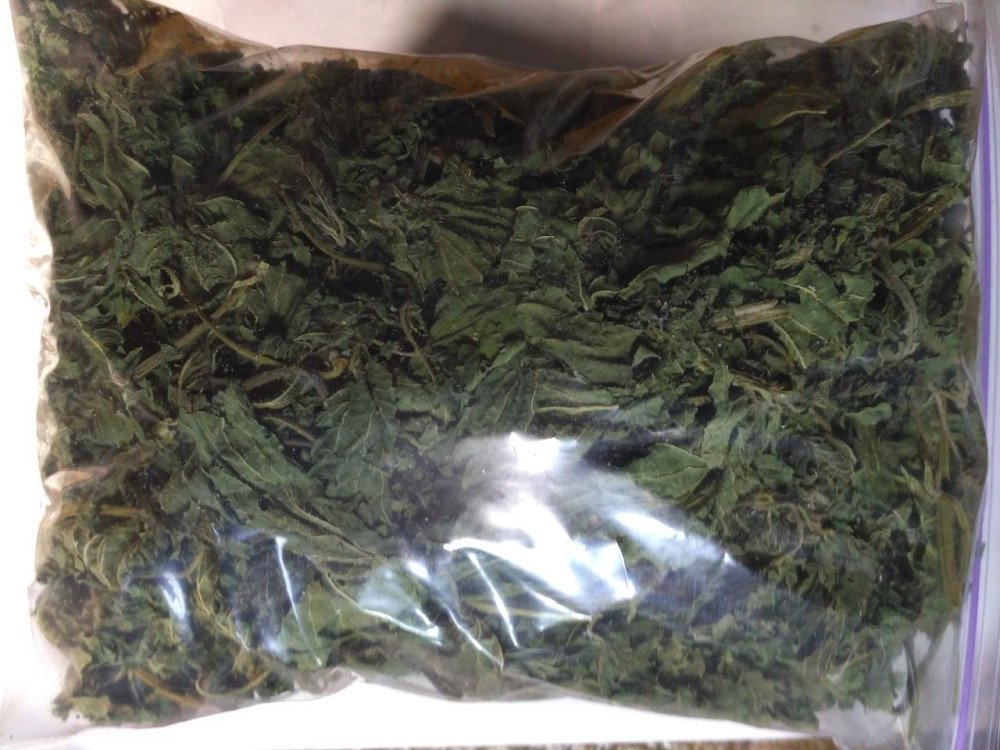 Кропива жалка (Кропива жгучая) 100г master sem Киев - изображение 2