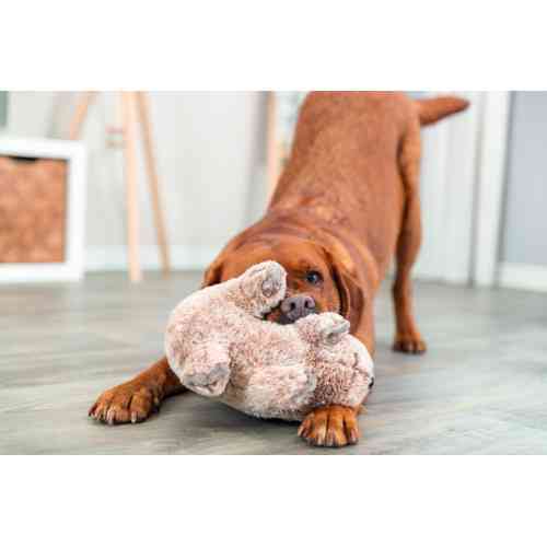 Іграшка Trixie для собак Вомбат плюшева з перероблених матеріалів 25 см Київ