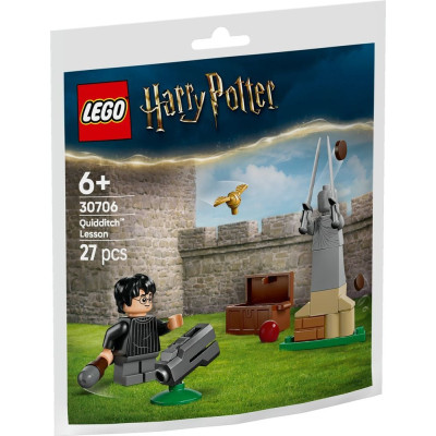 Конструктор LEGO Harry Potter Урок з Квідичу (30706) Вінниця - фото 1