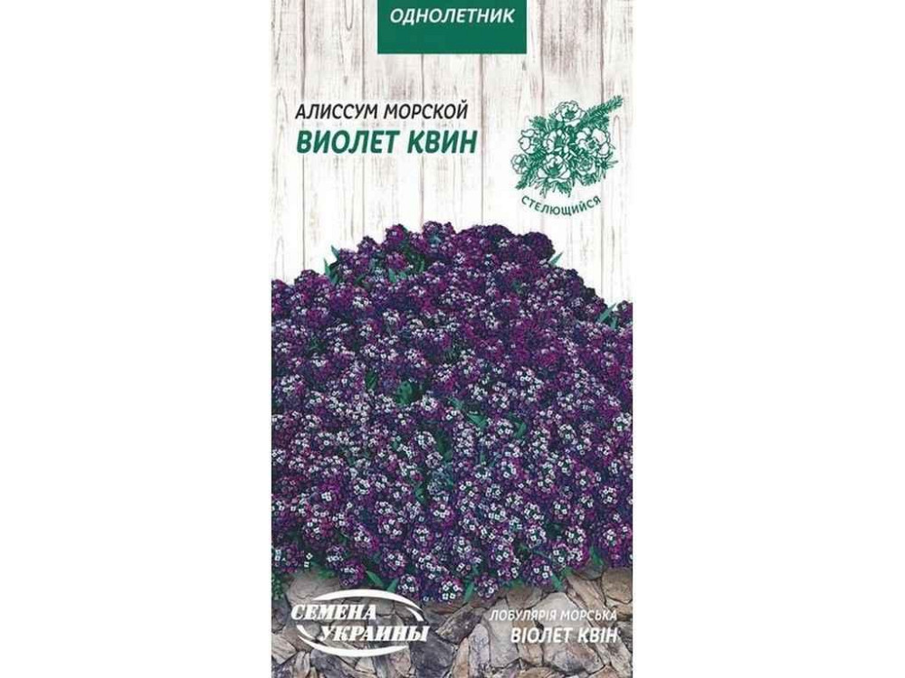 Аліссум морський Виолет Квин (фіолетовий) 0,1г (10 пачок) ТМ СЕМЕНА УКРАИНЫ   Solmir Київ - фото 1