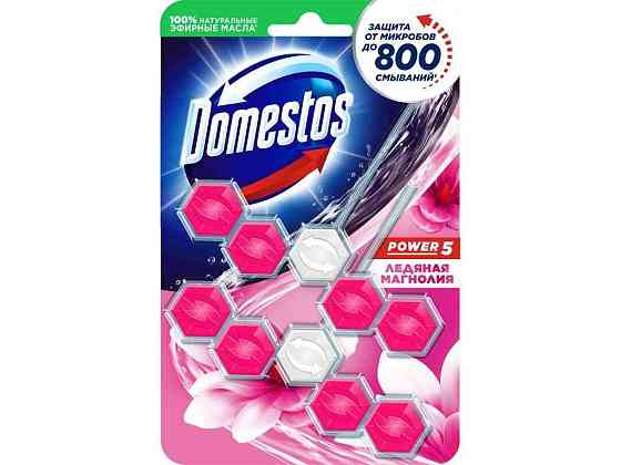 Блок для туалетів 2шт Power 5 крижана магнолія 55г ТМ Domestos Київ