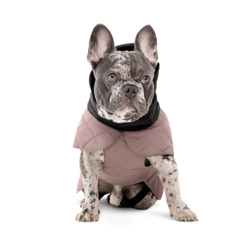 Попона Max S для собак Київ - фото 3