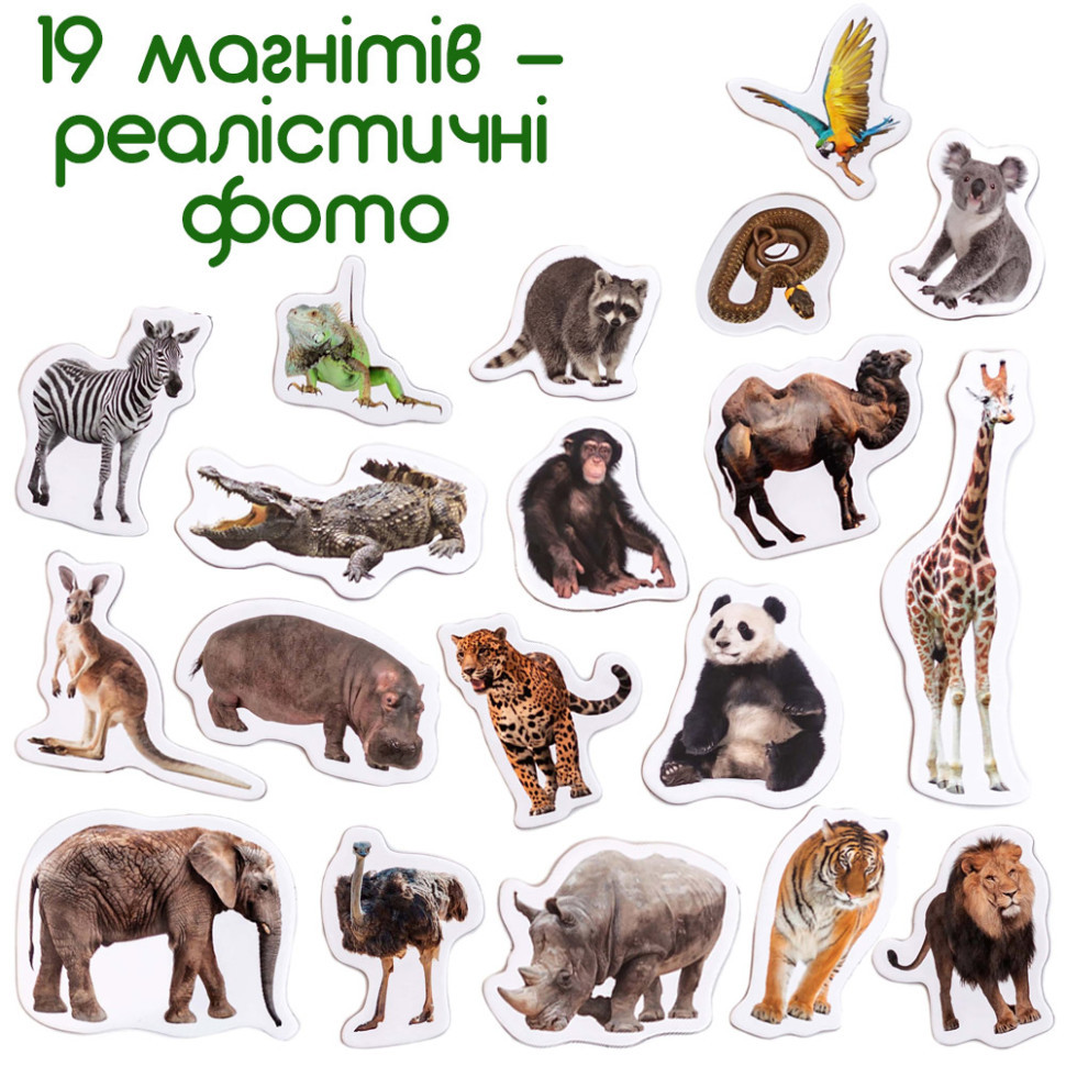 Набор магнитов 