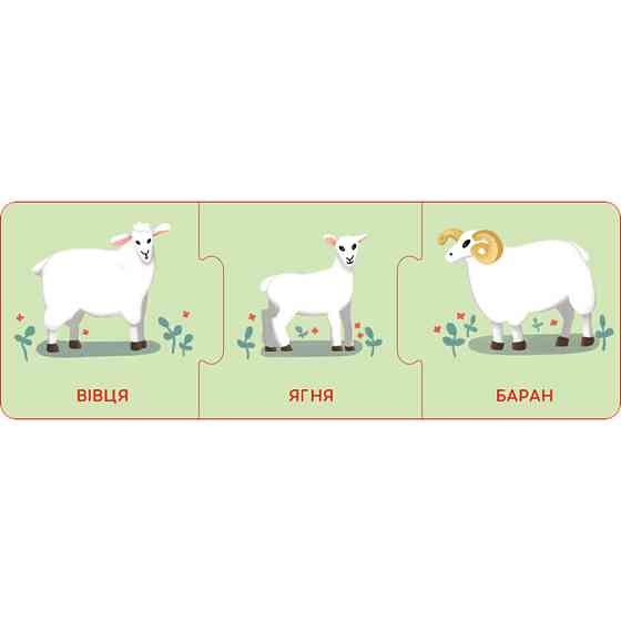 Логічні ланцюжки "Малюки тварини та їхні сім'ї" 1782001 українською мовою Вінниця