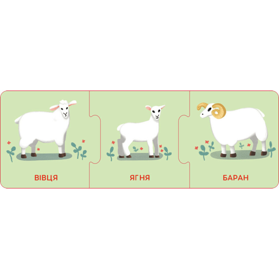 Логічні ланцюжки "Малюки тварини та їхні сім'ї" 1782001 українською мовою Вінниця - фото 4