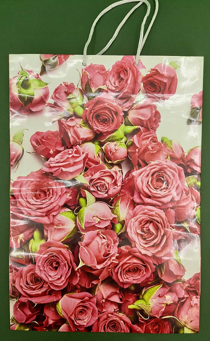 Пакет бумажный гигант вертиркальный (30х42х12)(артGV-061) (12 шт) Харьков - изображение 2