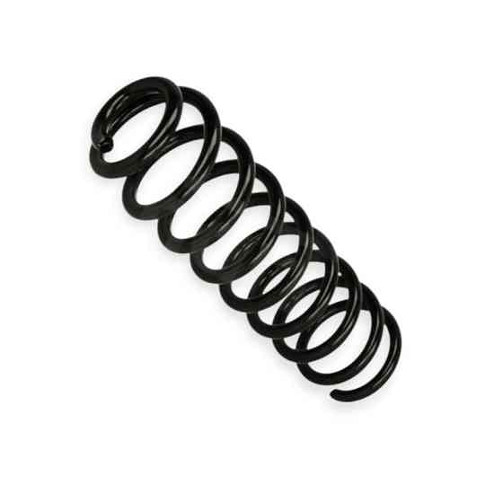 Пружина Renault Grand Scenic II 1.5dCi, 1.9dCi, 2.0dCi, 1.6, 2.0 (04-09) задняя Мукачево