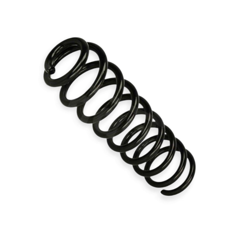 Пружина Renault Grand Scenic II 1.5dCi, 1.9dCi, 2.0dCi, 1.6, 2.0 (04-09) задняя Мукачево - изображение 1