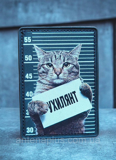 Кот Уклонистт черный патч / шеврон Киев - изображение 1