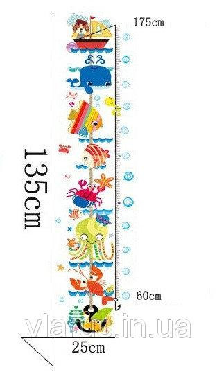 Інтер'єрна наклейка ростомір морський Київ - фото 5