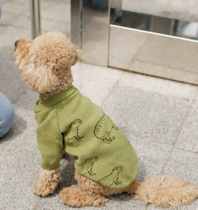 В'язаний светр для маленьких і середніх собак Dogs Bomba унісекс капібара Оливка Одеса - фото 1