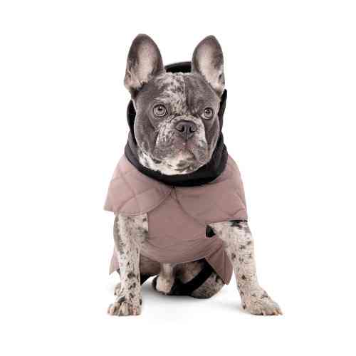 Попона Max S2 для собак Киев