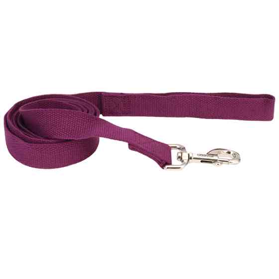 Coastal New Earth Soy Dog Leash КОСТАЛ СОЕВЫЙ ЭКОПОВОДОК для собак Киев