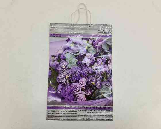 Пакет бумажный гигант вертиркальный (30х42х12)(артGV-001) (12 шт) Харьков