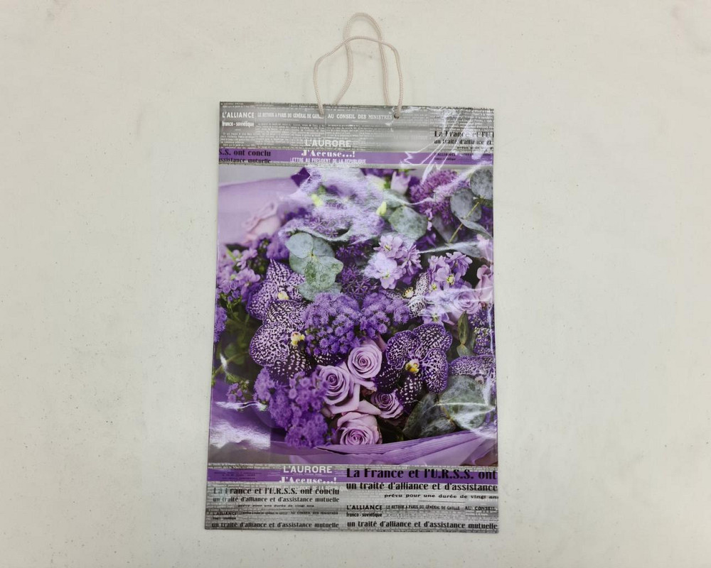 Пакет бумажный гигант вертиркальный (30х42х12)(артGV-001) (12 шт) Харьков - изображение 4