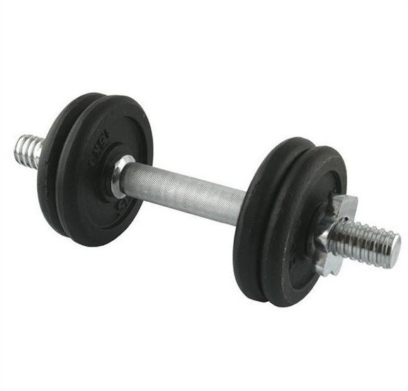 Гантель розбірна сталева HMS SG01, 7 кг Київ - фото 1