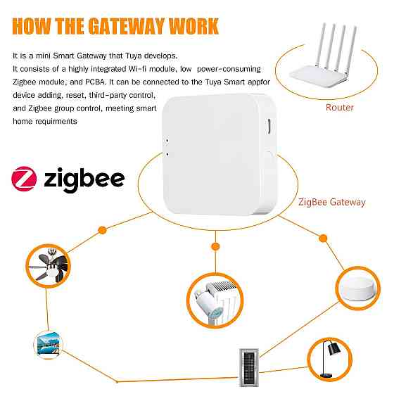 Безпровідний шлюз ZigBee TYGWZW-01N Луцьк
