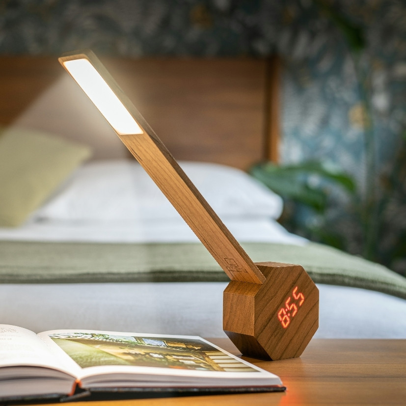 Gingko G012CH Винница - изображение 9