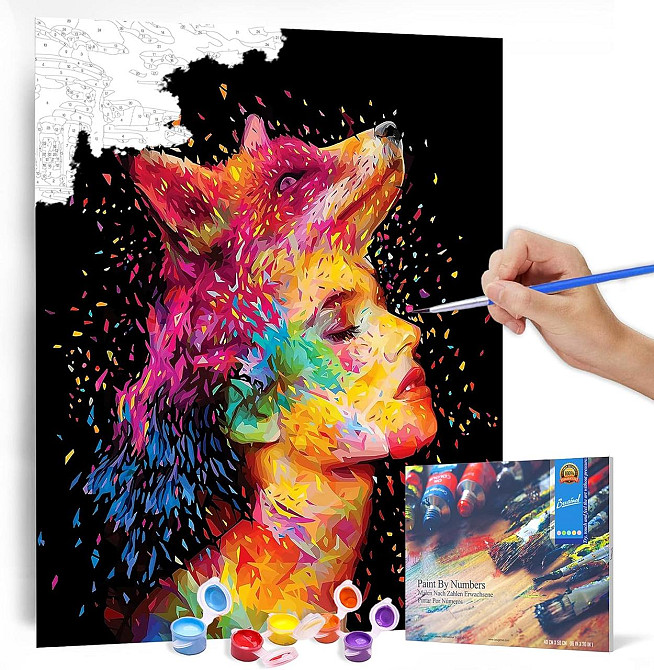 Картина по номерам Bougimal 