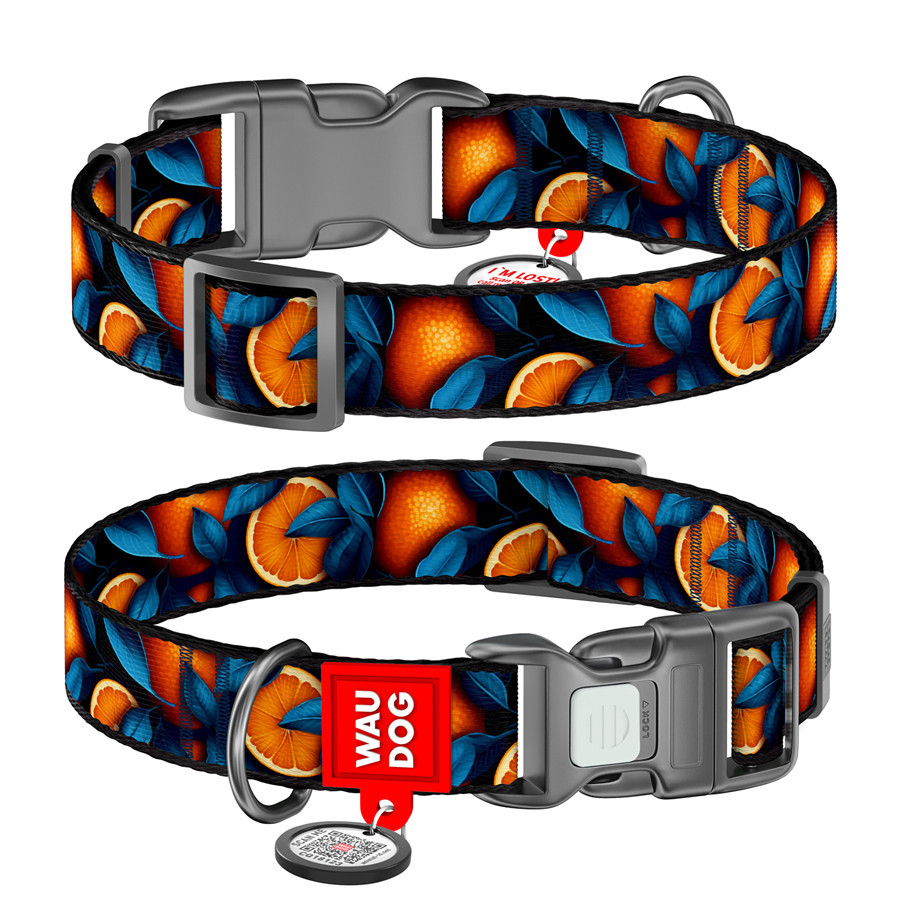 Ошейник для собак нейлоновый WAUDOG Nylon с QR паспортом, рисунок 