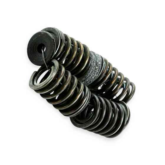 Пружина МТ,Дніпро (8шт) з прокладками клапанів Мукачево