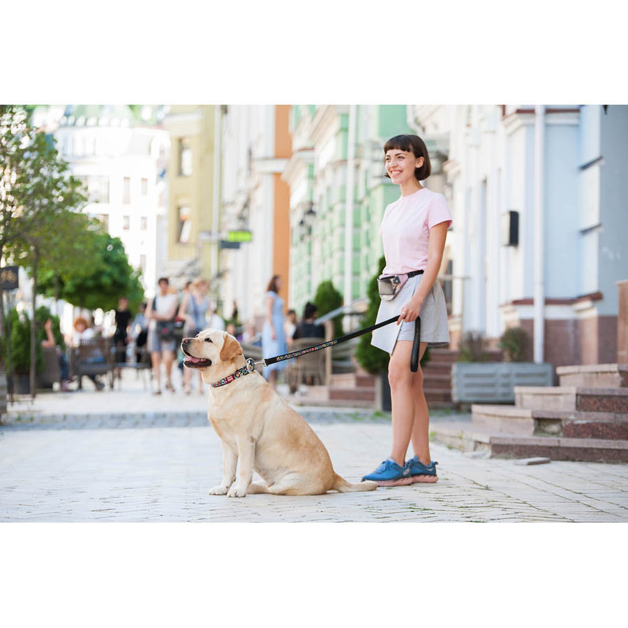 Нашийник для собак шкіряний WAUDOG Design з QR паспортом, малюнок "Пончики", XL, Ш 35 мм, Дов 4 Коломыя - изображение 5