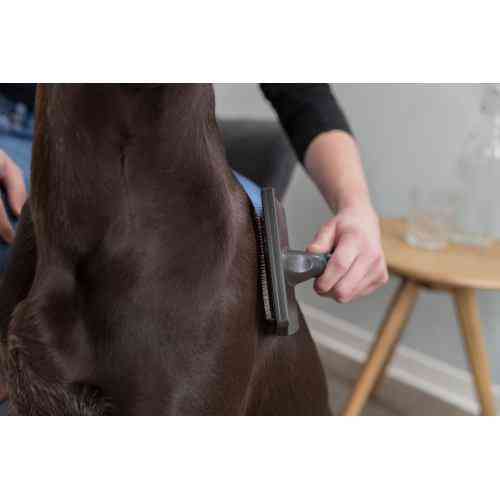 Щітка-пуходерка Trixie з пластиковою ручкою, 12х20 см Київ